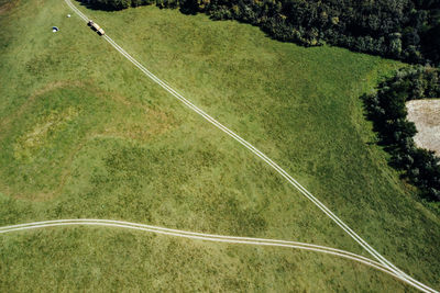 High angle view of road along trees