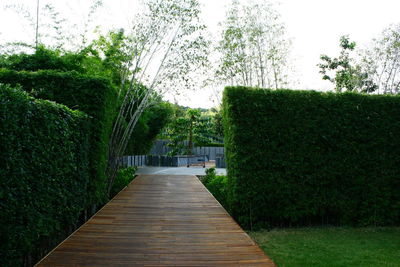 Walkway leading to footpath