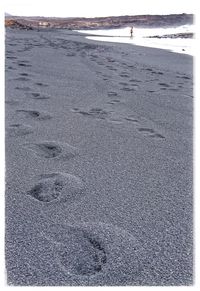 Tranquil scene of beach