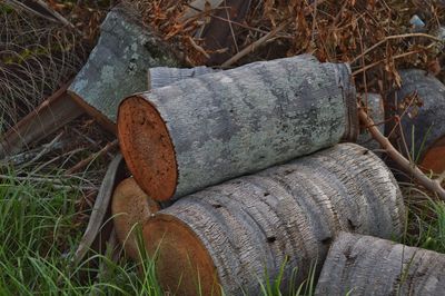 Stack of logs