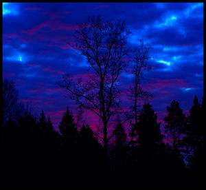 Silhouette of bare trees against cloudy sky