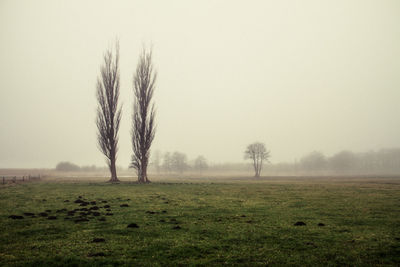 Scenic view of grassy field in foggy weather
