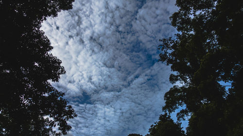 Low angle view of silhouette trees against sky