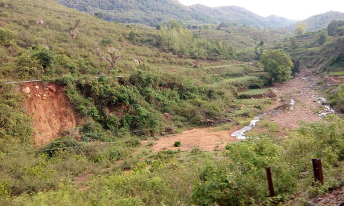 Landscape with mountain range in background