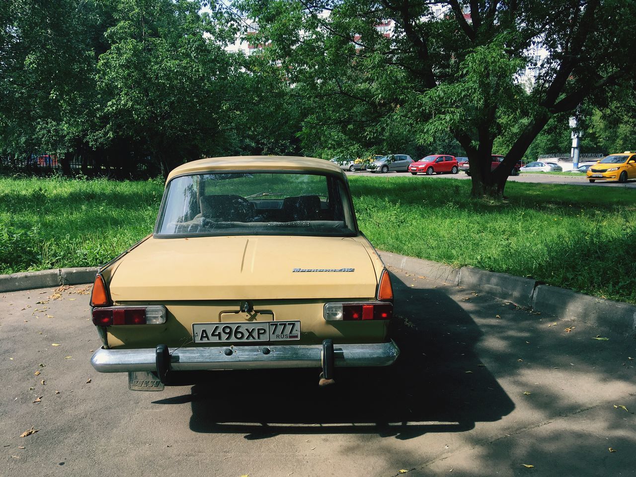 transportation, car, tree, land vehicle, day, mode of transport, outdoors, stationary, no people, grass, road, growth, nature