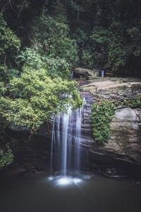 View of waterfall in forest