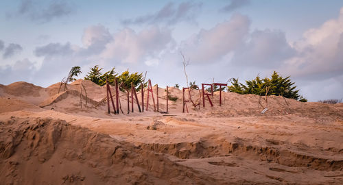 Panoramic view of a desert