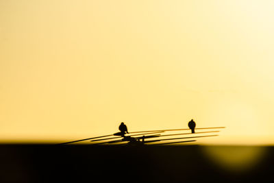 Silhouette birds perching on a orange sky