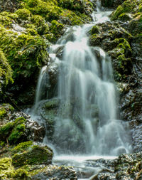 View of waterfall in forest