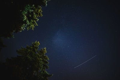 Low angle view of trees against sky at night