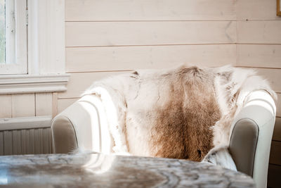 Close-up of armchair with fur on it 