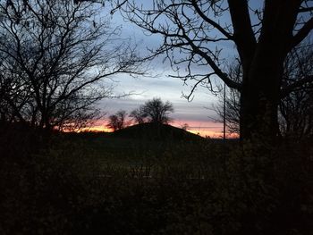 Bare trees on field against sky at sunset