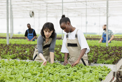 Side view of man working at farm