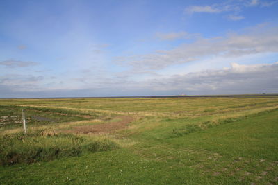 Scenic view of field against sky