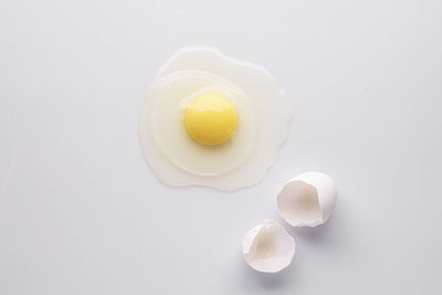 High angle view of egg in plate against white background