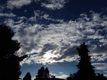 Low angle view of silhouette trees against sky