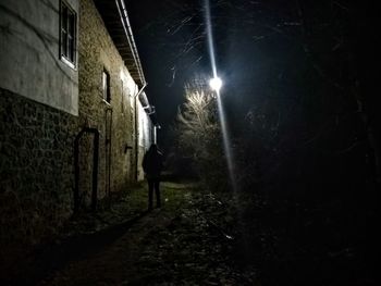 Rear view of person walking on illuminated building at night