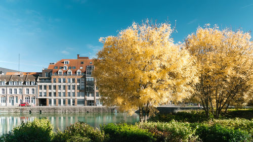 Trees by river against sky during autumn