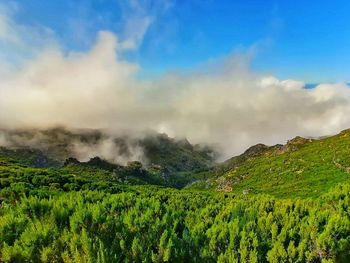 Scenic view of landscape against sky