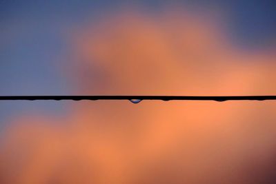 Close-up of silhouette plant against sky during sunset