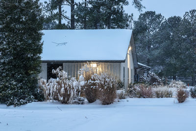 snow
