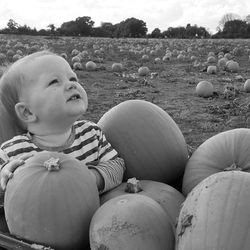 Boy looking up while sitting by pumpkins in wheelbarrow at farm