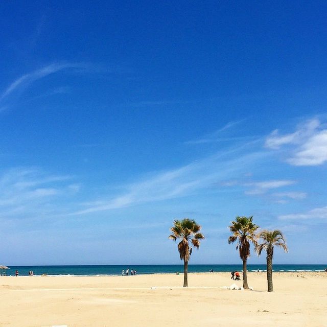 beach, sea, horizon over water, sand, water, shore, sky, palm tree, blue, tranquility, tranquil scene, scenics, vacations, beauty in nature, leisure activity, tree, nature, lifestyles, idyllic