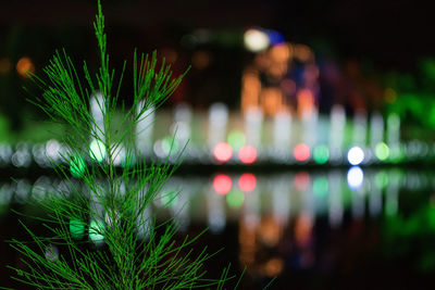 Close-up of illuminated lights