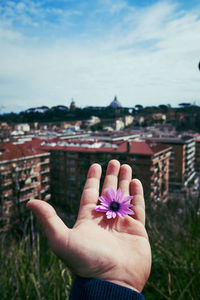 Close-up of hand holding purple flower against sky