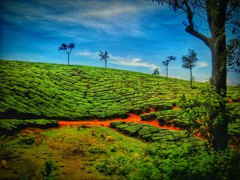 Scenic view of field against cloudy sky