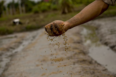 Close-up of man holding leaf