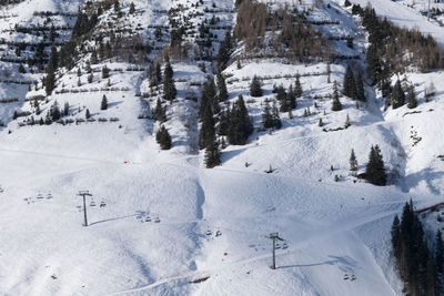 Snow covered landscape