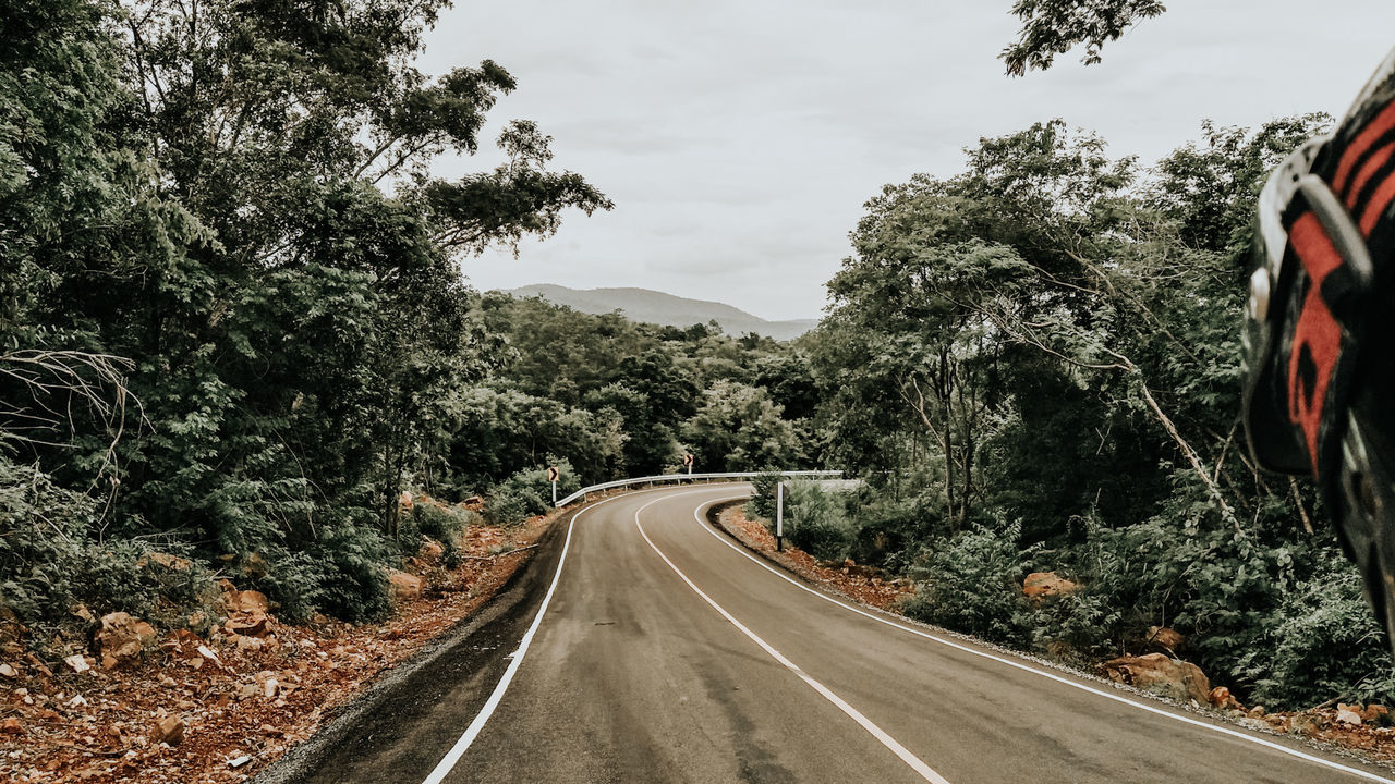 tree, transportation, plant, road, direction, the way forward, sign, road marking, nature, marking, symbol, no people, sky, growth, day, non-urban scene, beauty in nature, scenics - nature, diminishing perspective, tranquility, outdoors, dividing line