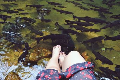 Woman feet in the clean water with tiny fishes