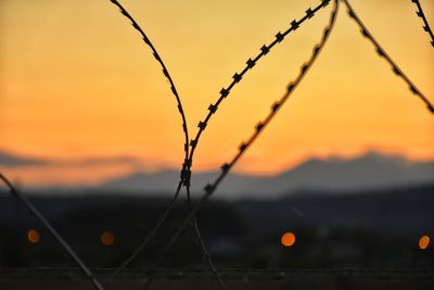 Close-up of silhouette plant against sky during sunset