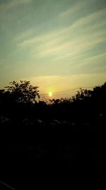 Silhouette of trees at sunset