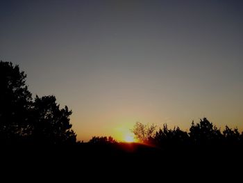 Silhouette trees against sky during sunset