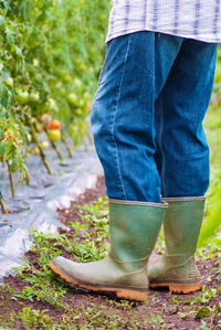 Low section of man standing by plants