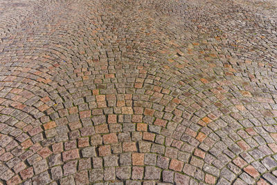 Full frame shot of leaf