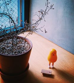 Close-up of orange and potted plant on table against window of building