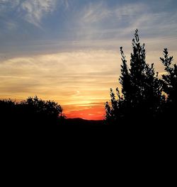 Silhouette trees against sky during sunset