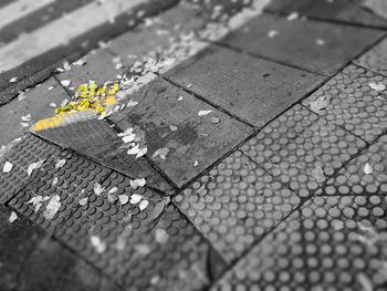 High angle view of footpath by street