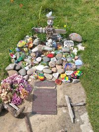 High angle view of various flowers on field