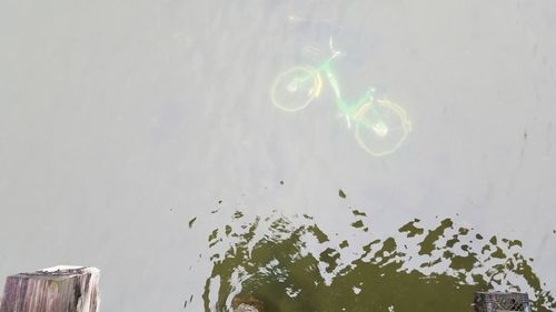 High angle view of jellyfish in lake