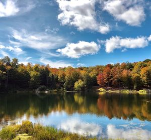 Scenic view of lake by trees against sky