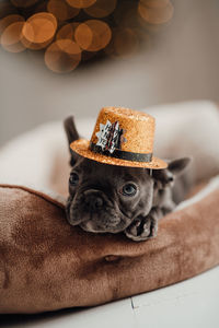 Close-up of hat