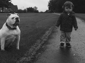 Portrait of baby boy standing on footpath by bulldog sitting on field