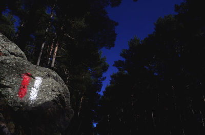 Low angle view of trees against sky at night