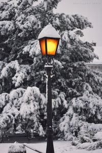 Street light in winter