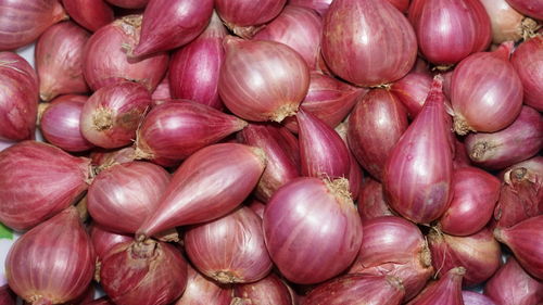 Full frame shot of onions for sale at market